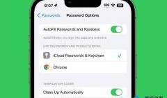 近期手机爆料新闻,近期手机爆料汇总解析