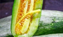 吃瓜的网红,揭秘娱乐圈幕后真相