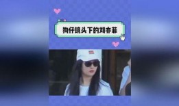 娱乐吃瓜记事本,吃瓜群众视角下的明星八卦