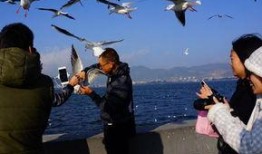 天津海鸥爆料事件真相视频,揭秘真相背后的惊人内幕