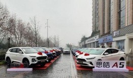 陆丰车管所爆料事件最新,揭开背后惊人内幕