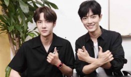 娱乐圈王一博吃瓜事件,娱乐圈风云再起，真相揭秘