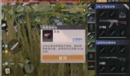 代号生机的爆料视频,揭秘神秘组织背后的秘密与挑战