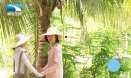 锦鲤夫妇爆料视频,揭秘幕后故事与甜蜜瞬间