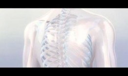 人体模型最新爆料视频,科技与艺术的完美融合