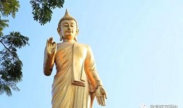 东南亚八面佛爆料视频,神秘爆料视频背后的真相