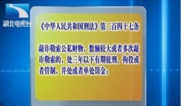 湖北省内新闻爆料,最新爆料揭示当地重大事件真相